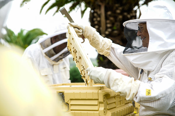 Gabrielle Morley's Honey Bee Haven